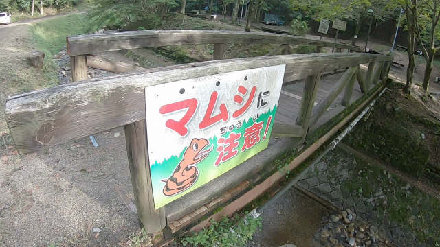 山城町森林公園のマムシ