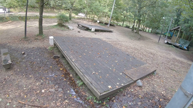 山城町森林公園の落ち葉