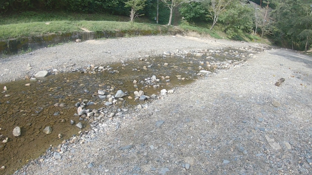 山城町森林公園の渓流